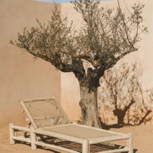 recliner-in-teak-wood-bientina